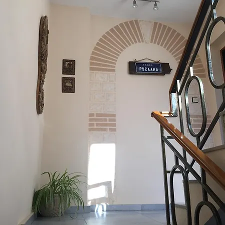 게스트하우스 Gloria 네세부르