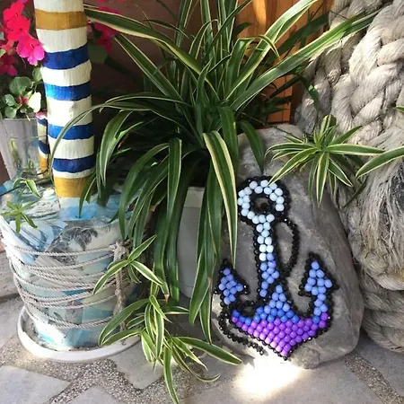 게스트하우스 Gloria 네세부르